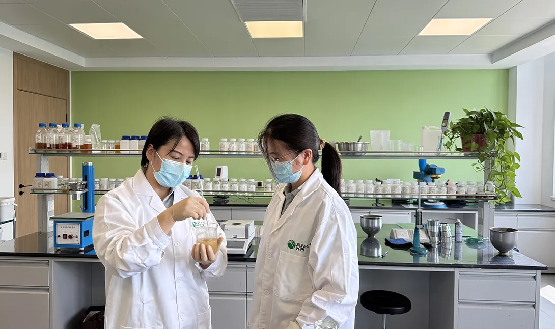 Raw Material Inspection